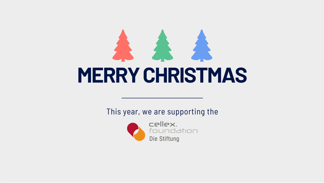 Drei Weihnachtsbäume nebeneinander und darunter steht Merry Christmas.